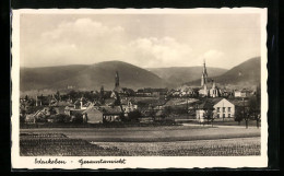 AK Edenkoben, Gesamtansicht Des Ortes  - Edenkoben