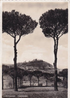 Cartolina Campobasso - Panorama - Campobasso