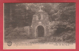 Rossignol - Entrée Du Cimetière / Tombes Des 1er Coloniaux ( Voir Verso ) - Tintigny