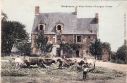 72 - Sarthe - SAINTE JAMME Sur SARTHE- Vieux Chateau D Antoigné - Ferme - Sonstige & Ohne Zuordnung