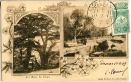 1909 Syria Hamidiye Damas Lebanon Postcard - Altri & Non Classificati