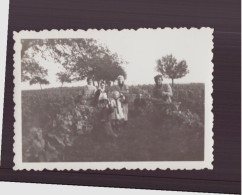 PHOTO DE PERSONNES DANS LES VIGNES CUEILLETTE 8.5 X 6 CM - Personnes Anonymes