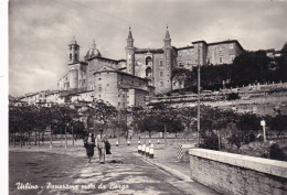 Cartolina Urbino - Panorama Visto Da Borgo - Urbino