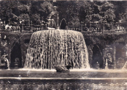 Cartolina Tivoli - Villa D'este ( Tivoli ) Fontana Dell'ovato - Tivoli