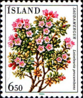 Islande Poste N** Yv:572 Mi:619 Saudamergur Loiseleuria Procumdens - Unused Stamps