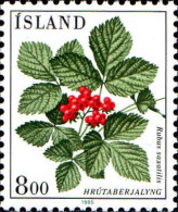 Islande Poste N** Yv:581 Mi:628 Hrutaberjalyng Rubus Saxatilis - Nuevos