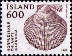 Islande Poste N** Yv:530 Mi:577 Hörpudiskur Chlamys Islandica - Unused Stamps