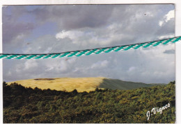 Dune Du Littoral Atlantique, Landes - Sonstige & Ohne Zuordnung