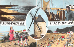 17 L ILE DE RE - Ile De Ré