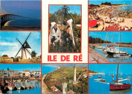 17 - ILE DE RE  - Ile De Ré