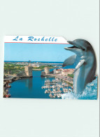 17 - LA ROCHELLE - DAUPHIN - La Rochelle