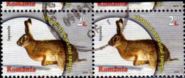Roumanie Poste Obl Yv:5704 Mi:6727 Lapin Paire (TB Cachet Rond) - Rabbits