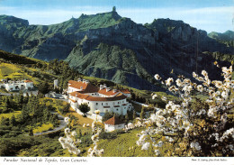 Espagne TEJEDA GRAN CANARIA - Gran Canaria