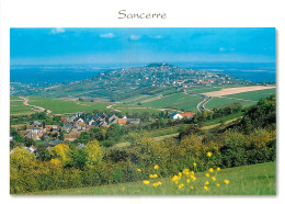 18 - SANCERRE - Sancerre