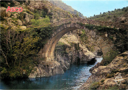 20 - ASCO - CORSE - LE PONT GENOIS - Sonstige & Ohne Zuordnung