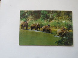 Four Elephants With Mahouts On Thair Backs Are Crossing A Sream To Work In The Jungle - Thaïlande