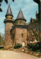 19 - BRIVE - CHATEAU DE CASTEL NOVEL - Brive La Gaillarde