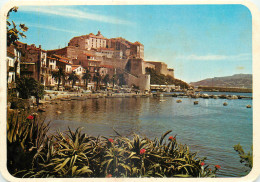 20 - CALVI  - Calvi