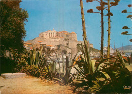 20 - CALVI  - Calvi