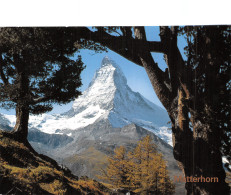 SUISSE MATTERHORN CEVIN - Other & Unclassified