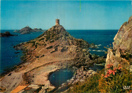 20 - AJACCIO - LES ILES SANGUINAIRES - Ajaccio