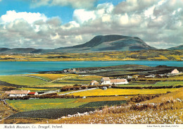 IRLAND DONEGAL MUCKISH - Donegal