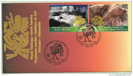 2007 - 511 / 512 - Patrimoine Mondial, Amérique Du Sud - 39 - FDC