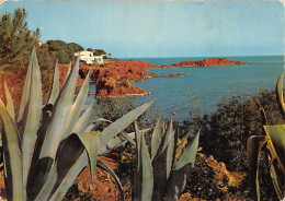 06 L ESTEREL LES ROCHERS ROUGE - Autres & Non Classés