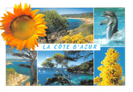 06 LA COTE D AZUR - Other & Unclassified