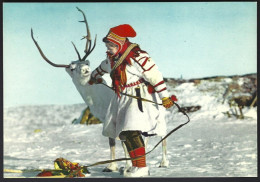 PC  AUNE F-505-0 - Norway, A Lappgirl And Reindeer. Unused - Norway