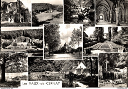 NÂ°14919 Z -cpsm Les Vaux De Cernay -multivues- - Autres & Non Classés