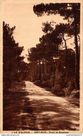 NÂ°15137 Z -cpa Ã®le D'OlÃ©ron -Vert Bois- - Ile D'Oléron