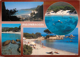 20 - CORSE - PALOMBAGGIA - Altri & Non Classificati