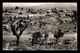 ALGERIE - TEBESSA - VUE GENERALE - Tébessa