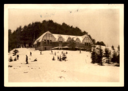 ALGERIE - CHREA - LE SKI-CLUB EN HIVER - SKIEURS - SKI - Autres & Non Classés