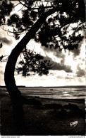 NÂ°18466 Z -cpsm Ã®le D'OlÃ©ron -contre Jour Sur La Plage- - Ile D'Oléron