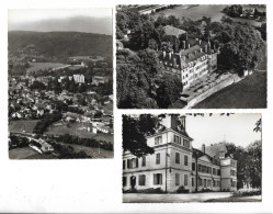 D 01 Cpsm  DIVONNE LES BAINS 3 Cartes  Le Chateau :hotel Du Chateau:vue Generale  N0175 - Divonne Les Bains