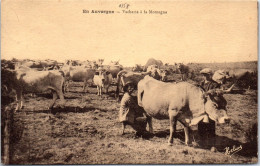 15 En Auvergne, Vacherie A La Montagne. - Other & Unclassified