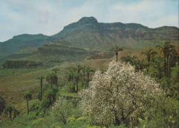 132616 - Gran Canaria - Spanien - Paisaje De Santa Lucia - Gran Canaria