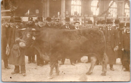 87 LIMOGES - CARTE PHOTO - Bœuf Prime Au Concours De Paris  - Limoges