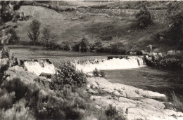 FRANCE - Langogne - L'Allier Où L'on Peut Pêcher La Truite Et Le Goujon - Carte Postale - Langogne