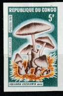 CONGO CHAMPIGNONS, CHAMPIGNON, MUSHROOM, Setas Yvert N°254 NON DENTELE Neuf Sans Charnière/ Volvaria Esculenta - Champignons