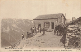 E1138 Chamonix Chalet Du Plan De L'aiguille - Chamonix-Mont-Blanc