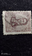 ARJANTİN-1900-1920    2    CENTAVOS    DAMGALI - Used Stamps