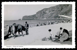 NAZARE -  Praia De Banhos.(Edição Lif )    Carte Postale - Leiria