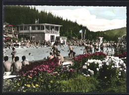 AK Heidenheim / Brenz, Badegäsete Im Waldbad  - Heidenheim