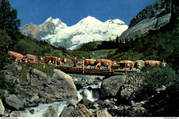 NÂ°40014 Z -cpsm Alpabfahrt Vom Oeschinensee Bei Kandersteg - Kandersteg