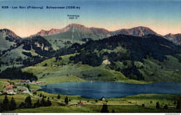 NÂ°39959 Z -cpa Lac Noir Schwarzsee - Sonstige & Ohne Zuordnung