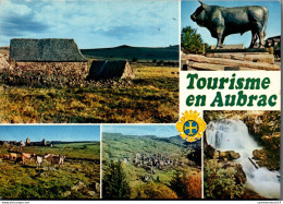 NÂ°41360 Z -cpsm Tourisme En Aubrac- - Autres & Non Classés