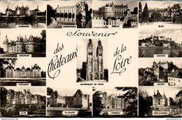 NÂ°2069 W -cpsm Souvenir Des ChÃ¢teaux De La Loire- - Gruss Aus.../ Grüsse Aus...